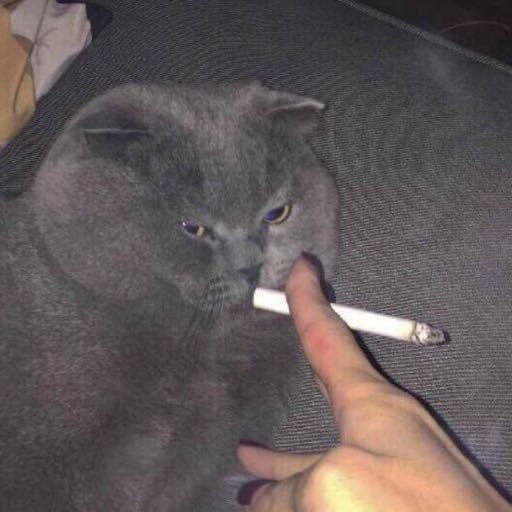  有什么沙雕一点的头像,男生用