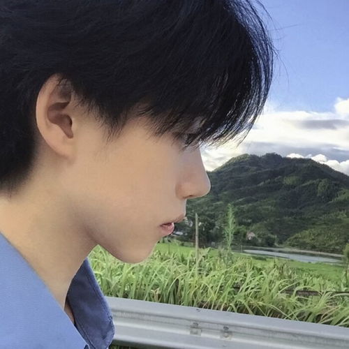  黑头也比不上的高级男头