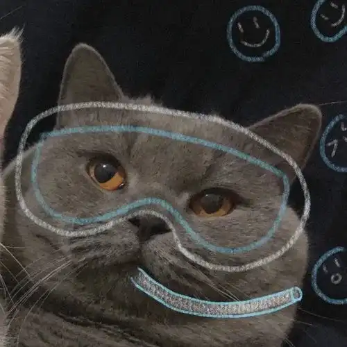 猫的情侣头像沙雕