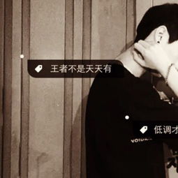  不想再战封宝剑