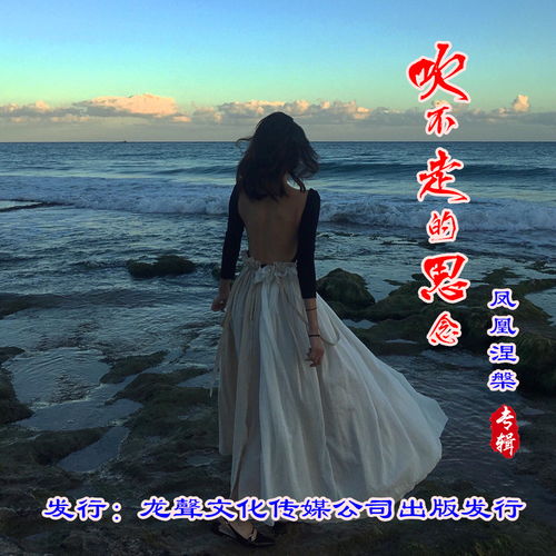 吹不走的思念凤凰涅槃高音质在线试听吹不走的思念歌词歌曲下载酷狗音乐