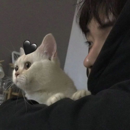  男生头像qq男生头像帅气好看,送给喜欢帅哥的你第135期