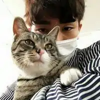  猫比人浪