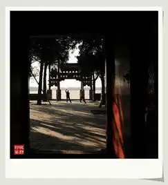  在大园子里拍摄小光景