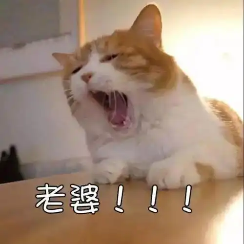  100张超甜情侣头像