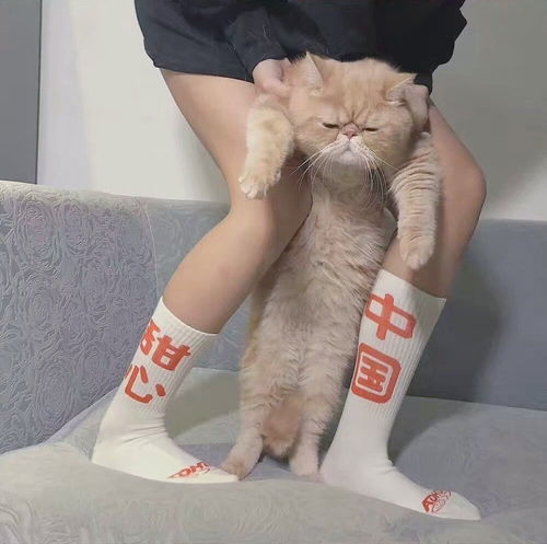  立刻有likeyou文案