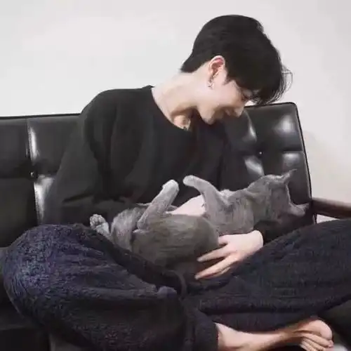 抱猫的情侣头像男人