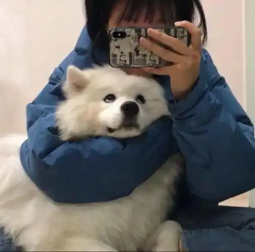  情头丨情侣头像