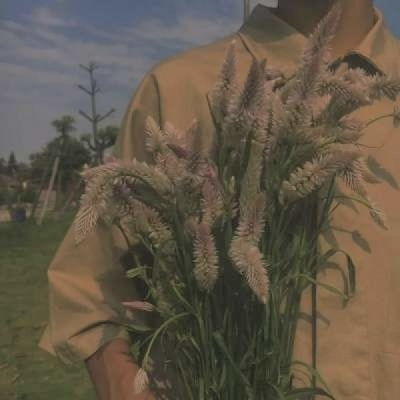  拿花男头,无人问津的巷口总是开男生头像我要个性网