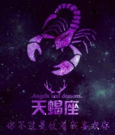  十二星座专属爱情语录,射手座让人心疼,摩羯座霸气无比