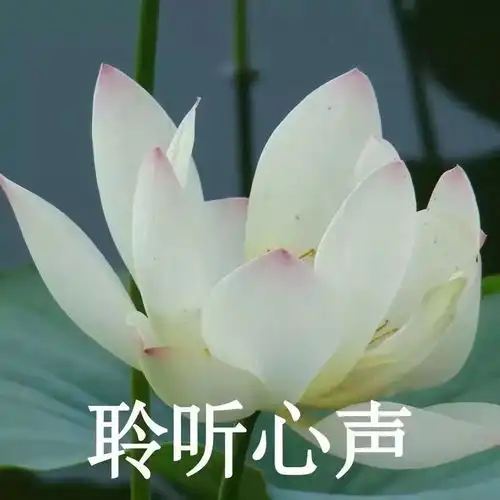  收假第一天,你回到宿舍,要做的第一件事竟然是