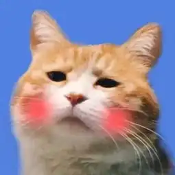  图片另一半的猫猫情侣头像,跪求跪求