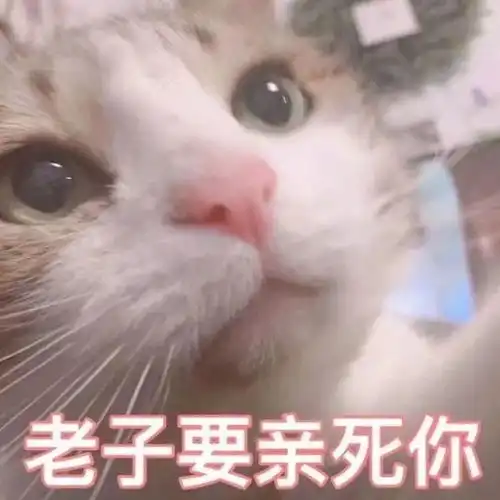  这单一肉源猫粮的风很大,刮得我耳朵疼...