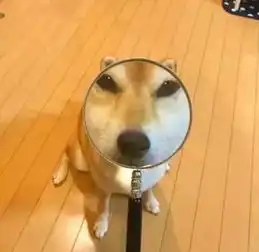  问题头像会影响第一印象吗