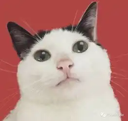  老电影俱乐部的前世今生