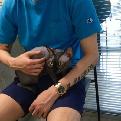  带动物暖心头像酷部位男生猫男生头像我要个性网