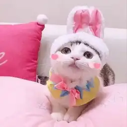  今日头像推荐,211