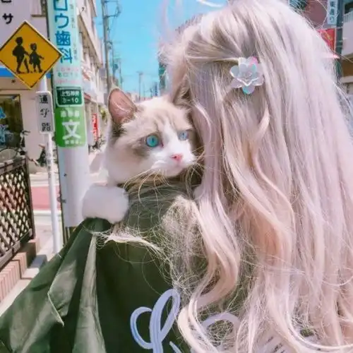 抱猫的情侣头像徐静蕾