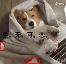  这个情人节,希望你不在是苦逼的一个人