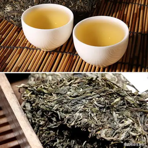  普洱薄荷塘生茶特征解析与品鉴技巧,让你全面了解这款茶的魅力所在