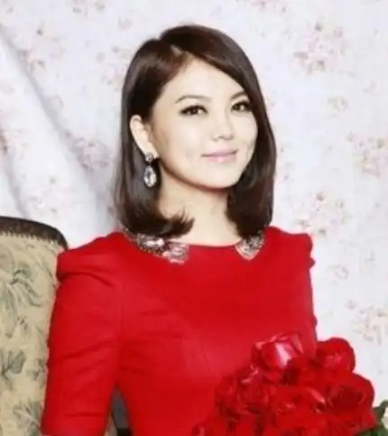  王岳伦李湘婚内双双出轨谁也没闲着不是一家人不进一家门