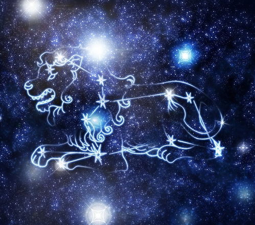  这些星座一生辛苦奋斗,但是却难以享乐,你认为他们命苦吗