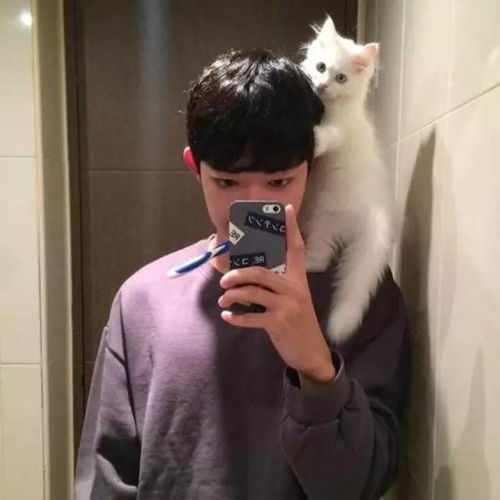  十二星座女生最容易栽在什么样的男生手里