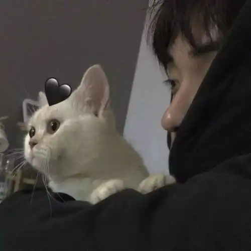  有没有一男一女抱着猫猫的情侣头像