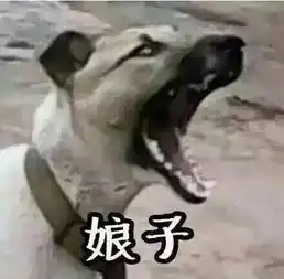 情侣头像狗表情包