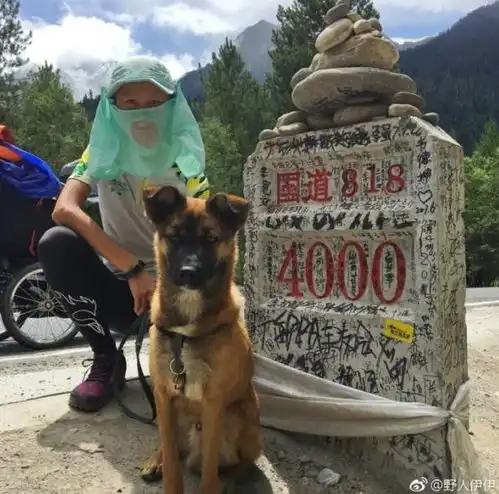 狗狗情侣头像一对跑步