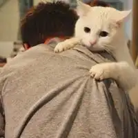  一点点的看透人情世故