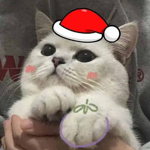  今日头像生活总是有很多出人意料的事情