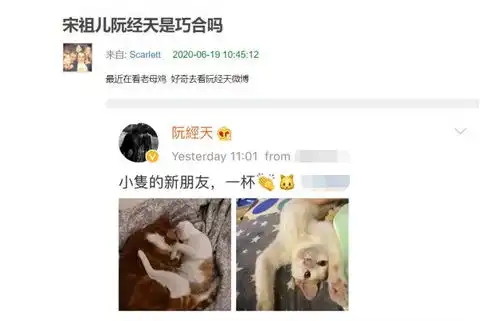  阮经天宋祖儿真有情况两人给宠物命名疑似情侣名,男方俩猫名字谐音一辈子