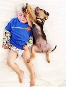  生一个娃,养一条狗,陪他们一起长大