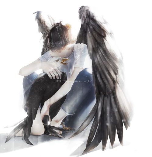  今日pixiv单图排行榜前......附一期暖心小故事