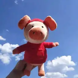  抖音2019必备新年头像2019猪年头像大全分享