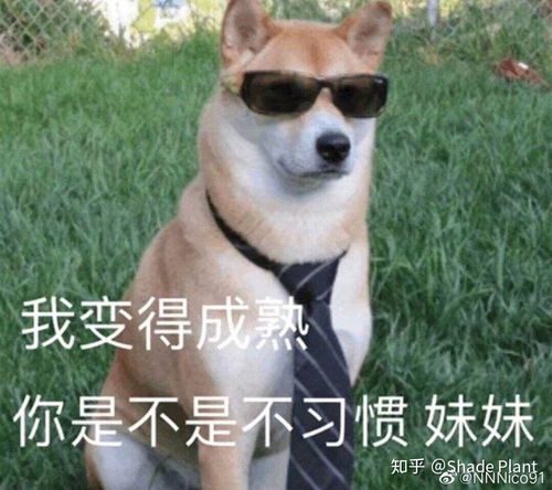 男生撩妹适合用的头像动