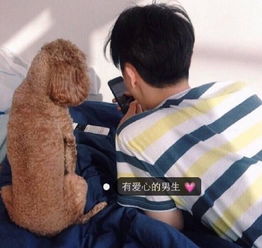  帅气男生个性图片大全2016女生喜欢的男生九种类型