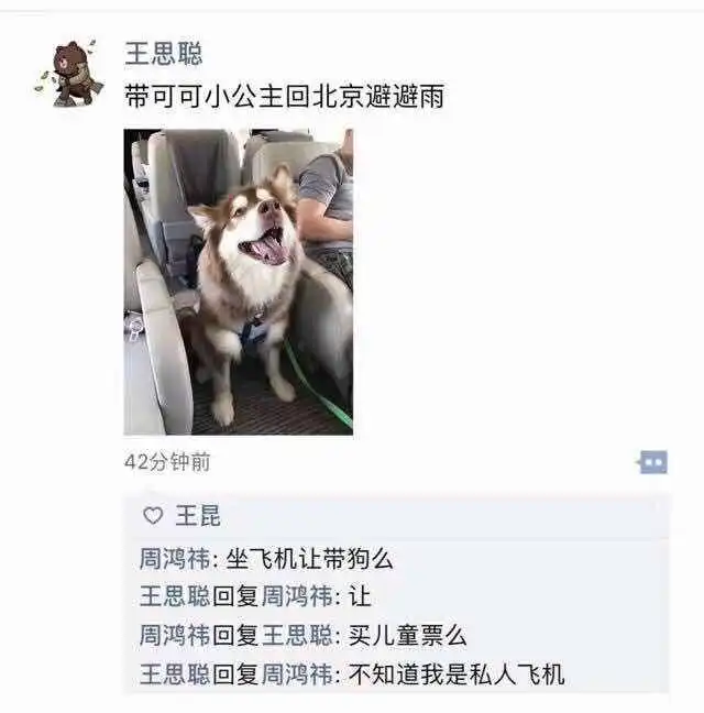  王思聪带自家宠物坐私人飞机,为什么要马赛克