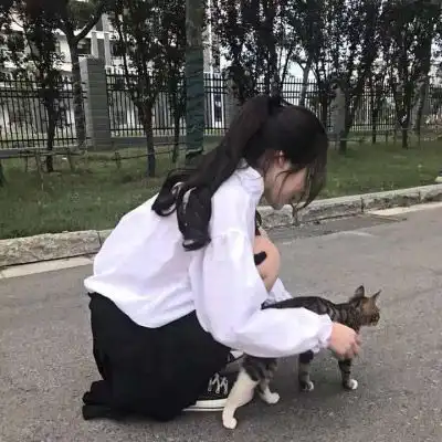  女生抱猫头像高清图片2020女生抱着猫很酷的头像