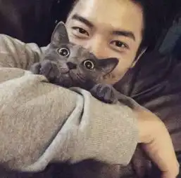  有哪些好看的情侣头像