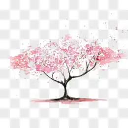  樱花树图片素材免费樱花树png设计图片大全图精灵