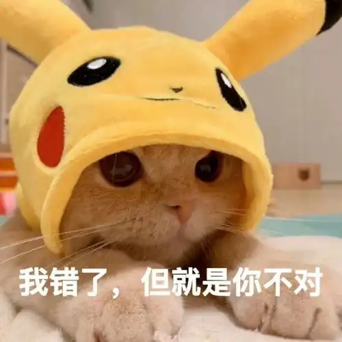  萌宠表情包虽然是我错了,但就是你不对