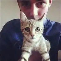  乖巧软猫情侣头像一左一右qq头像扣扣居