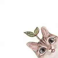 猫咪情侣头像一左一右猫
