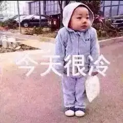  青年社会组织在浦东做点啥这事听你的