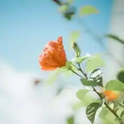  泉州海洋职业学院招生简章