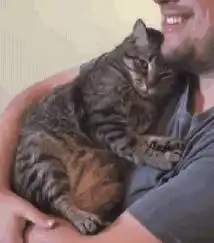  猫界最白眼狼的猫与最忠心的猫,或许你养错了