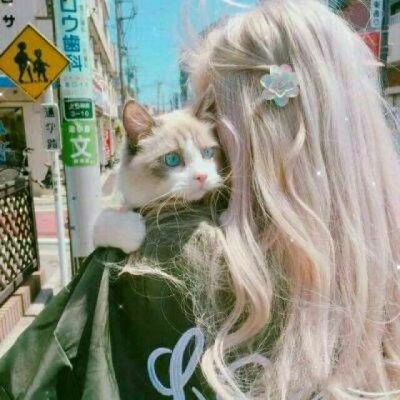 女生头像无人物
