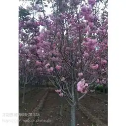  价格厂家中国供应商